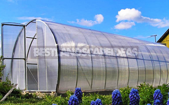 The Ideal Greenhouse: What is It and How not to Make a Mistake Choosing It?