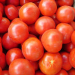 How To Plant And Care For Tomatoes