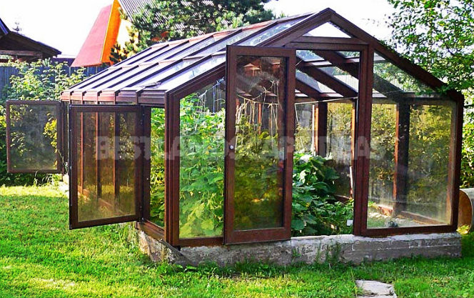 The Ideal Greenhouse: What is It and How not to Make a Mistake Choosing It?