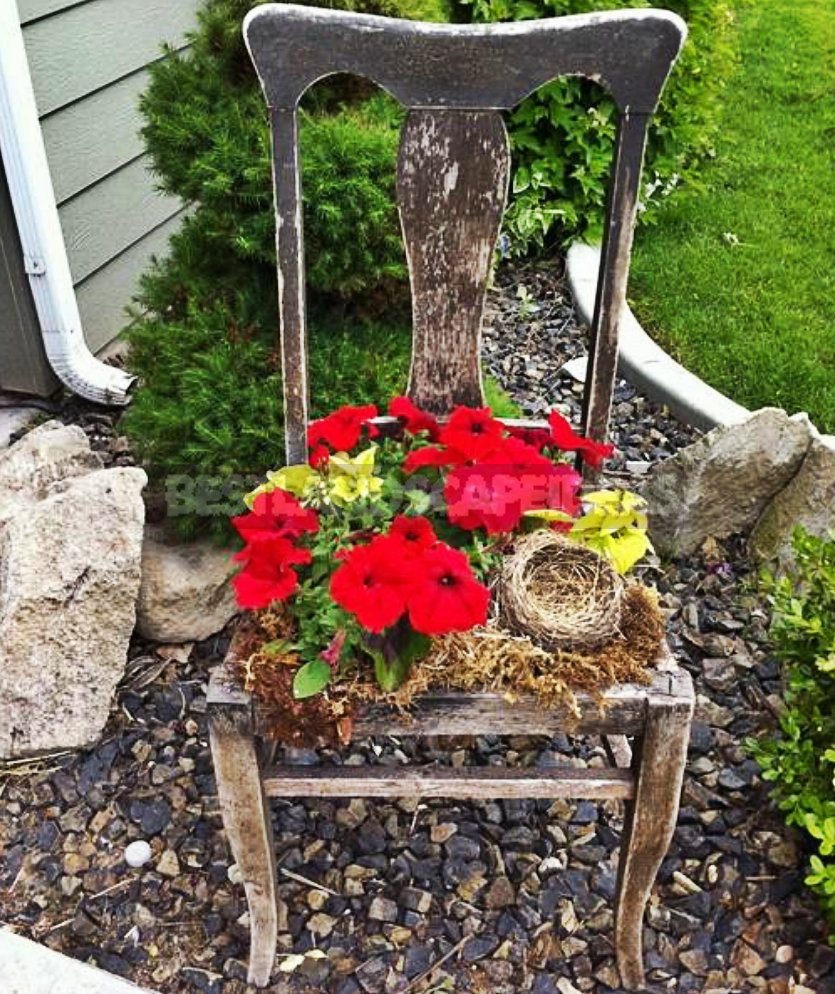 Original Ideas for Your Flower Bed