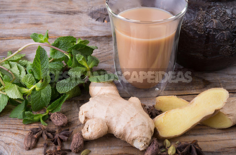 Nine Healing Recipes With Ginger: the Cold Will Not Come