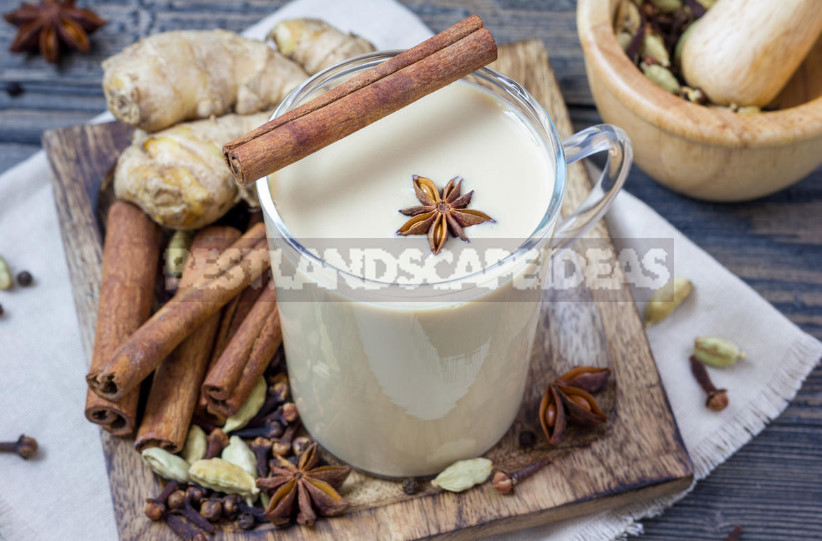Nine Healing Recipes With Ginger: the Cold Will Not Come