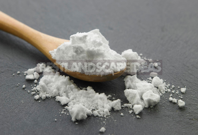 Baking Soda for Garden and Vegetable Garden: 22 Ways of Application On a Site