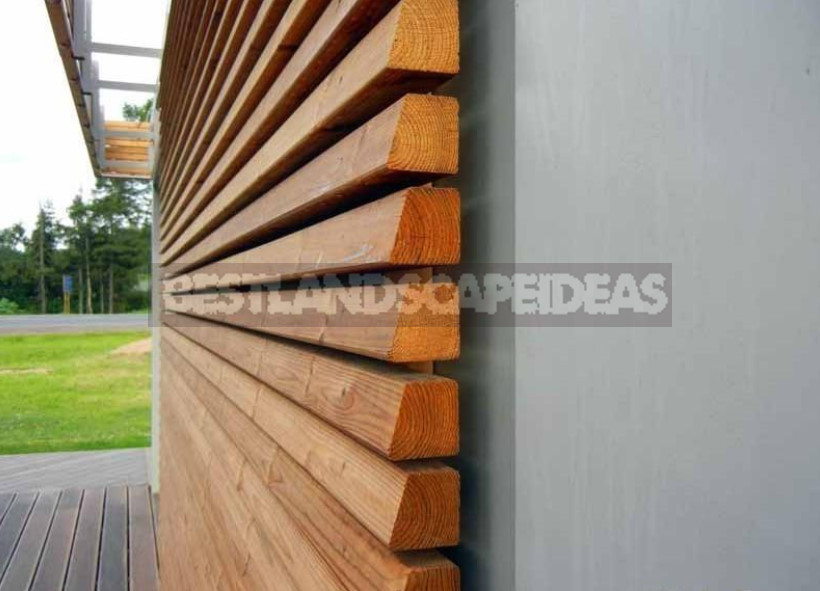 House Cladding: Six Original and Cost-Effective Ways