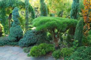 Garden Bonsai: Japanese Motifs in the Garden - Best Landscape Ideas