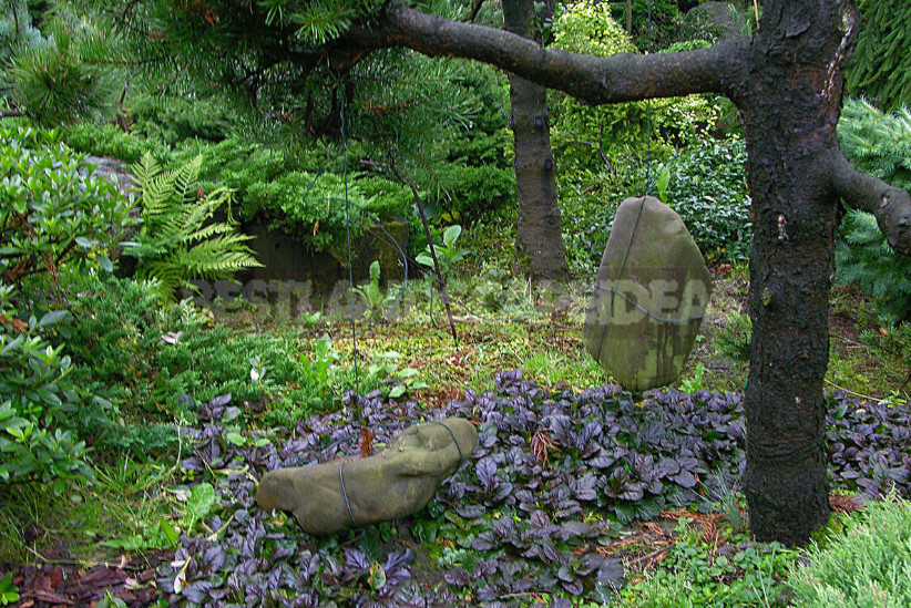 Garden Bonsai: Japanese Motifs in the Garden