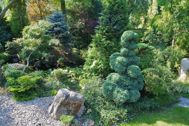 Garden Bonsai: Japanese Motifs in the Garden - Best Landscape Ideas