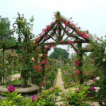 Rose Garden: Elements of Regular Style