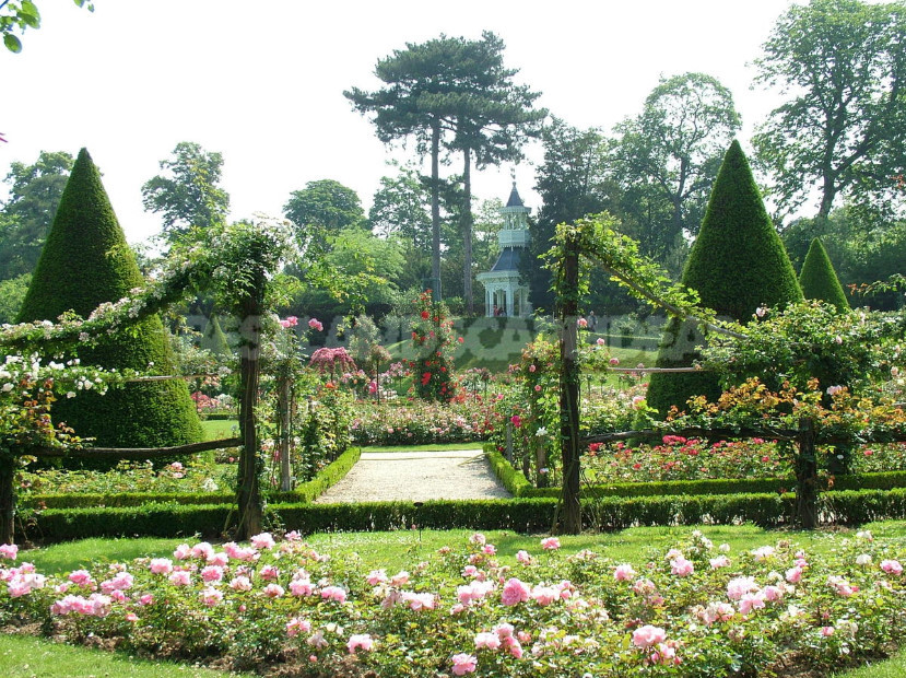 Rose Garden: Elements of Regular Style - Best Landscaping Ideas