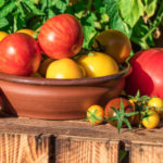 What Determines the Taste of Tomatoes