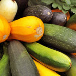 How to Grow Zucchini – the Most Valuable Dietary Product