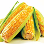 How To Plant And Care For Corn