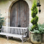 Trees in Containers: What to Grow