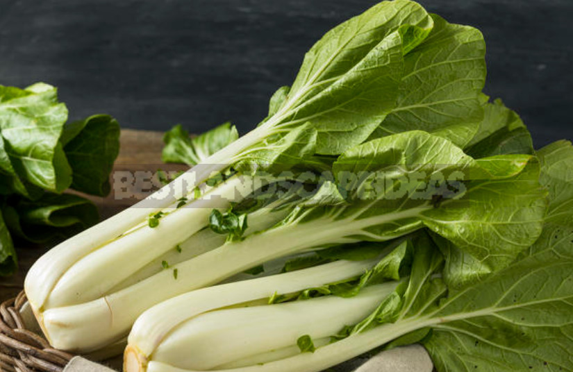 Cabbage Pak Choi: Cultivation, Varieties (Part 2)