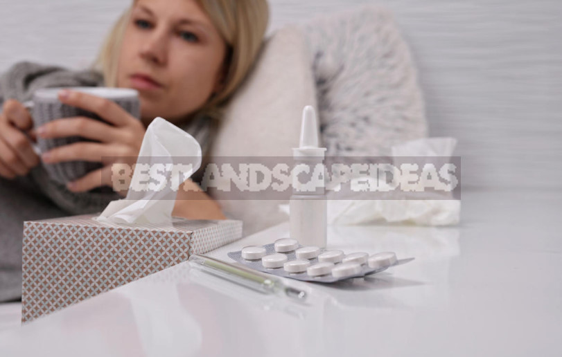 Seasonal Prevention of Influenza and SARS