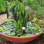Pond in Miniature: Top 12 Simple Ideas