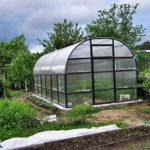 Hotbed and greenhouses – what’s the difference?