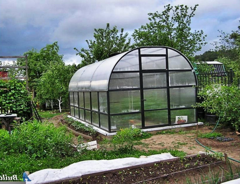 Hotbed and greenhouses what’s the difference? Best Landscape Ideas