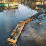 Garden Pumps: Types of Equipment for Different Country Needs