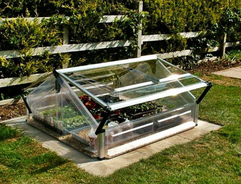 Hotbed and greenhouses what’s the difference? Best Landscape Ideas