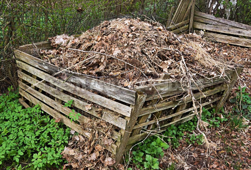 How to dispose of garbage at the cottage: Top 5 tips