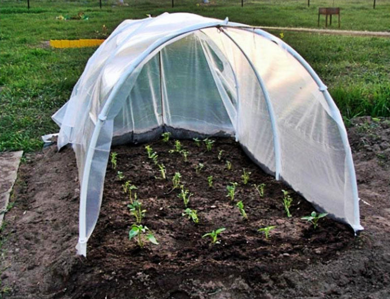 Hotbed and greenhouses – what’s the difference? - Best Landscape Ideas