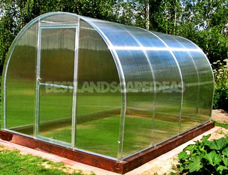 Hotbed and greenhouses – what’s the difference?