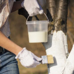 Solution for Whitewashing of Trees: Compositions for Preparation by Own Hands
