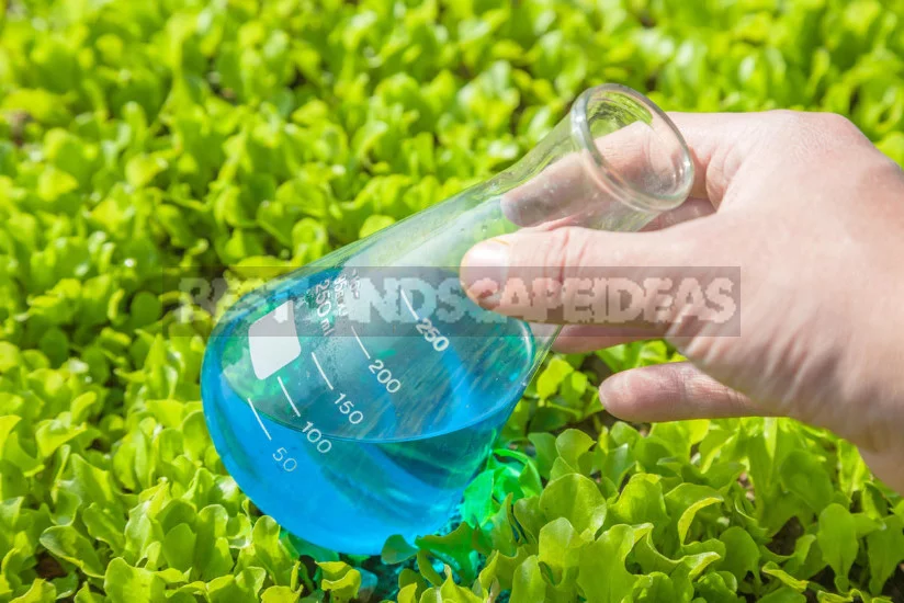 Solution for Whitewashing of Trees: Compositions for Preparation by Own Hands