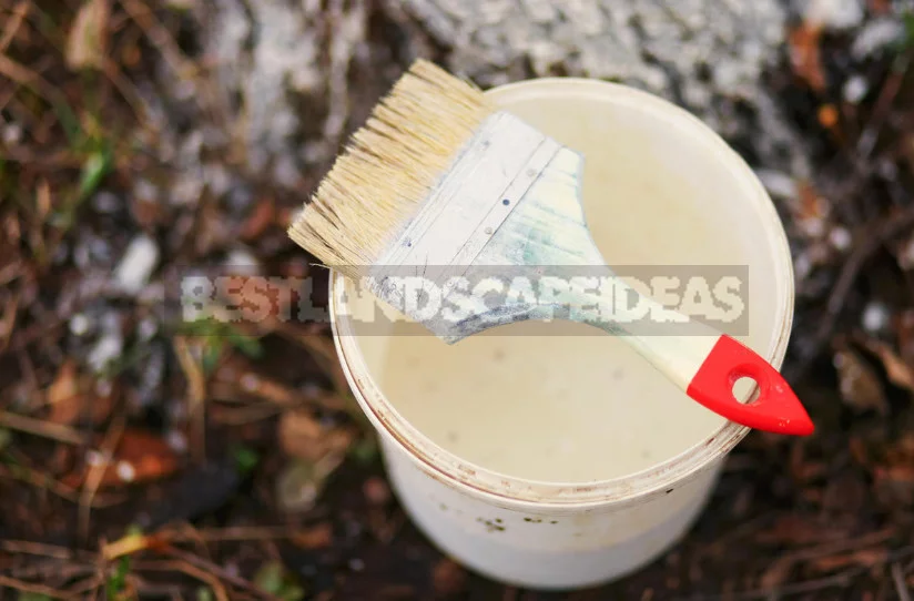 Solution for Whitewashing of Trees: Compositions for Preparation by Own Hands