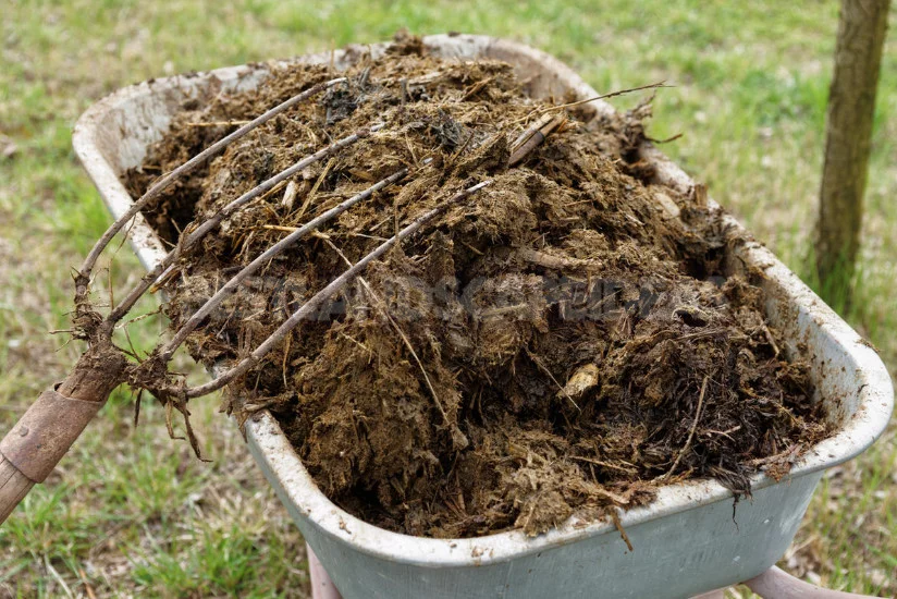 Solution for Whitewashing of Trees: Compositions for Preparation by Own Hands