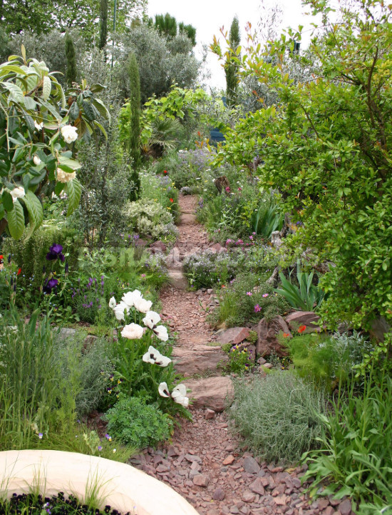 Natural and Ecological Gardens: Examples of Landscape Design