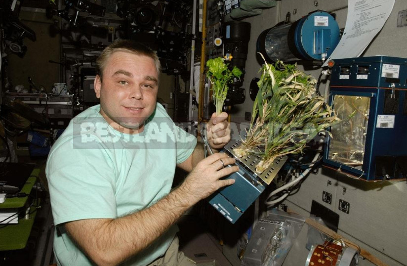 Plants in Space: the Possibilities of Space Agriculture