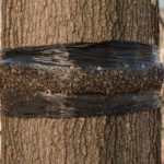 How to Make and Properly Install the Hunting Belt