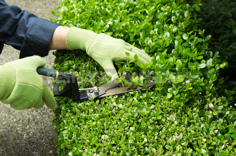 If You Can Not Hide, You Need to Emphasize. How to Decorate the Cover of the Septic Tank.