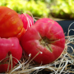 Pink and Crimson Tomatoes: Excellent Salad Varieties