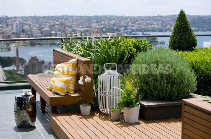 Roof Garden: a New Wave of Landscaping Captures the City
