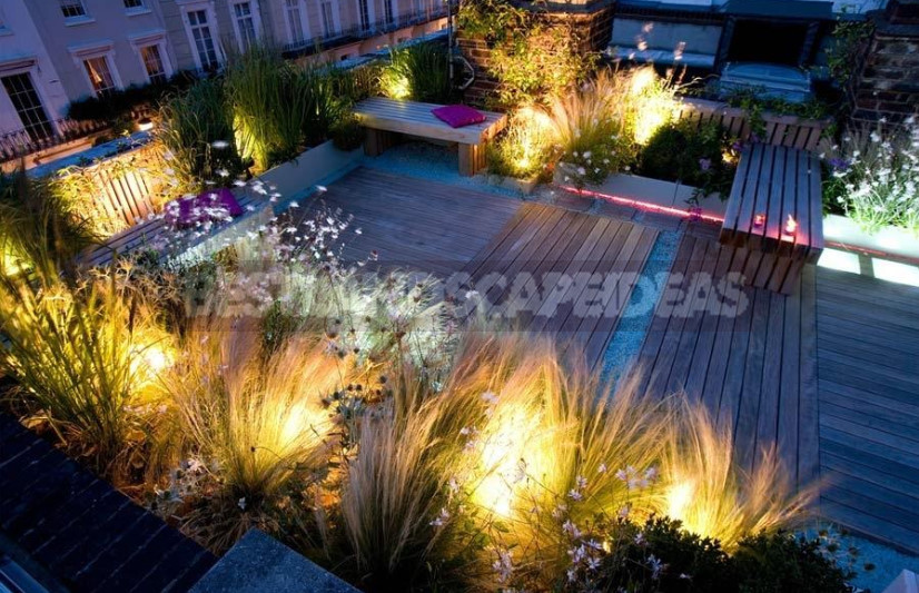 Roof Garden: a New Wave of Landscaping Captures the City