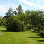 What Kind of Lawn Do You Need? Choose a Lawn for a Garden Plot