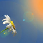 Dangerous Spring Sun: UV Protection, Types of Sunscreens