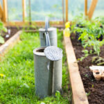 Unpleasant Diseases of Tomatoes: Root and Basal Rot