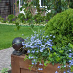Container Gardening: Professional Advice On the Choice of Plants