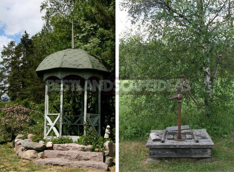 Finnish Garden: Features of Ornamental Gardening in Finland