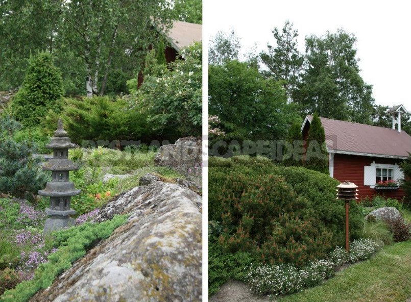 Finnish Garden: Features of Ornamental Gardening in Finland