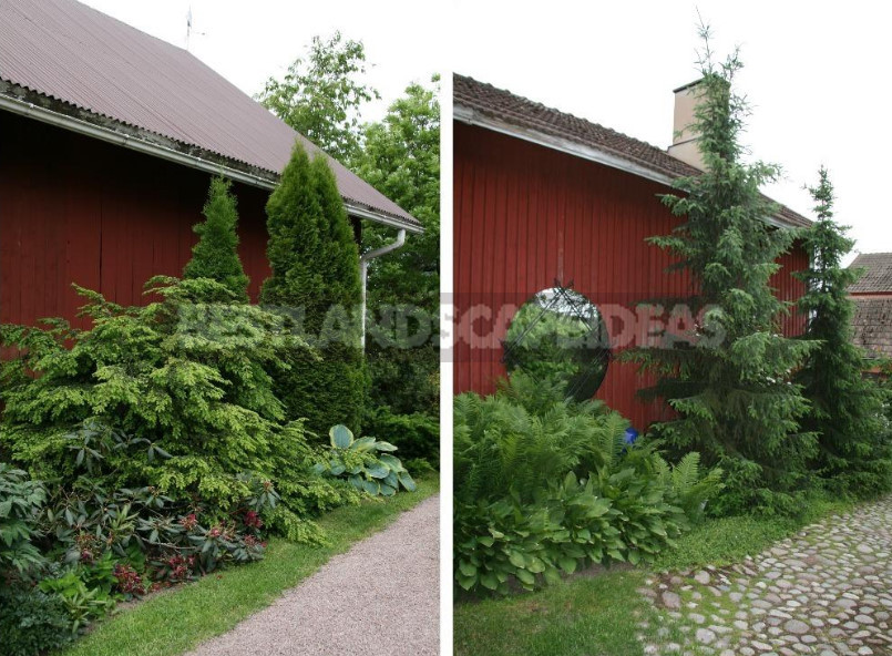 Finnish Garden: Features of Ornamental Gardening in Finland