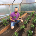 How to Make Moving Peppers From Home to Greenhouse Comfortable