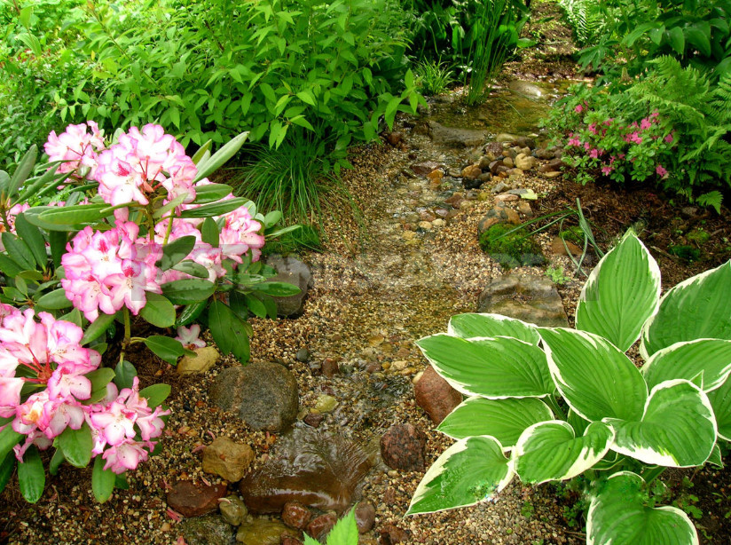 Rhododendrons in Garden Design: Harmonious Compositions