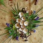 Therapeutic Strawflower