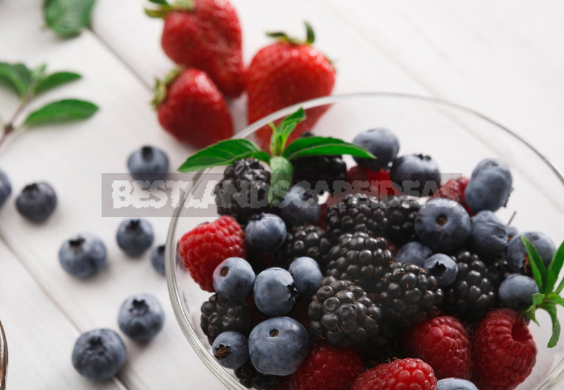 Healthy Eating Habits: Antioxidants for Health (Part 1)
