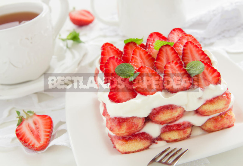 Strawberry Dishes: Soup, Salad, Pizza, Chips and Desserts (Part 2)